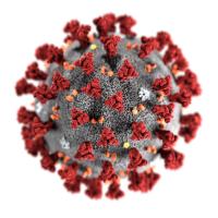 Coronavirus, le confinement 2